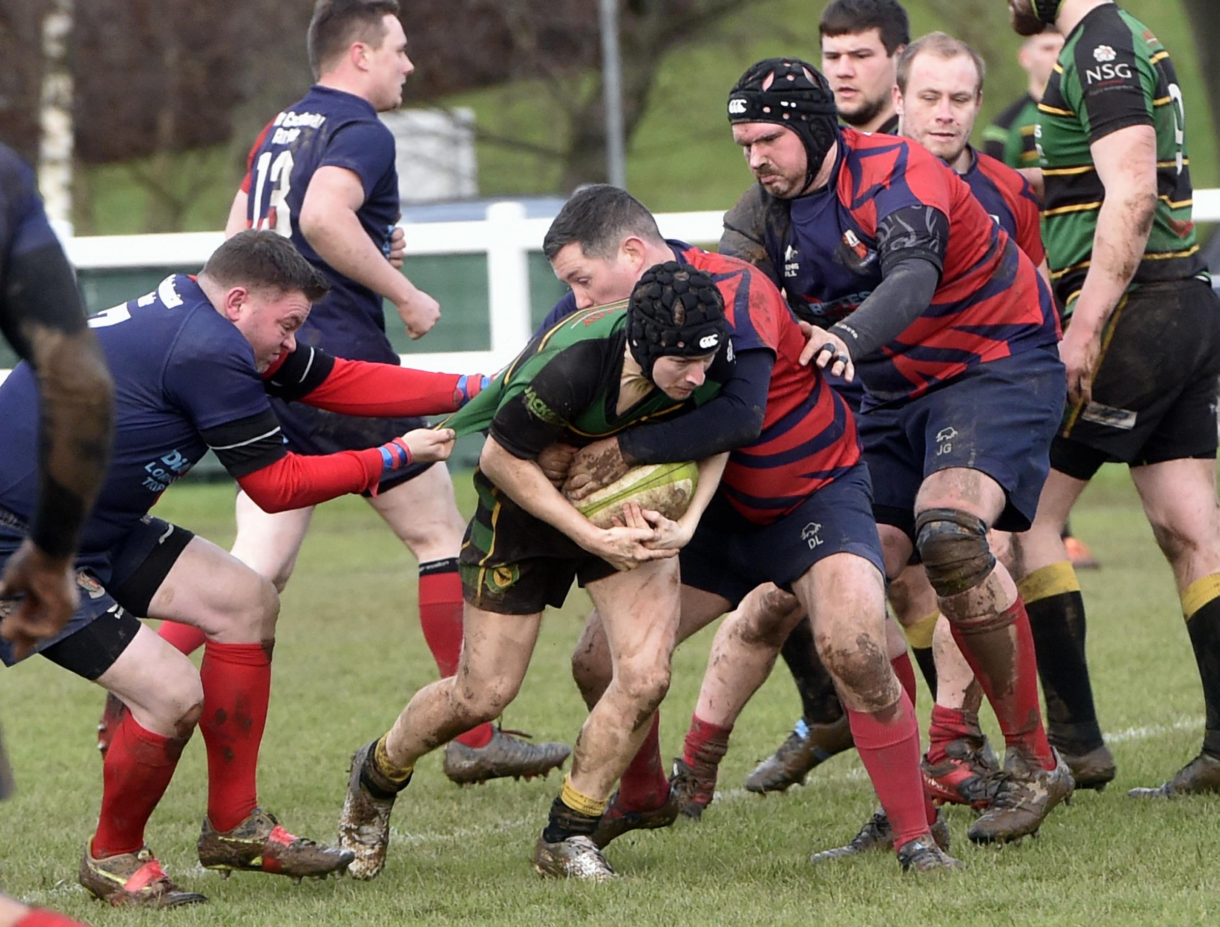 rugby union season